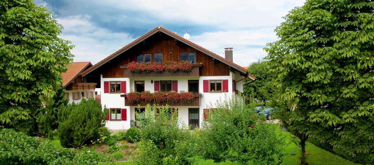 Hornblick Fewo- Ab Mai Freie Fahrt Mit Bergbahnen オーベルストドルフ エクステリア 写真