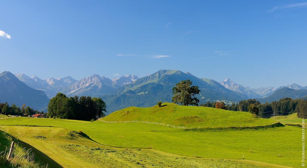 Hornblick Fewo- Ab Mai Freie Fahrt Mit Bergbahnen オーベルストドルフ エクステリア 写真