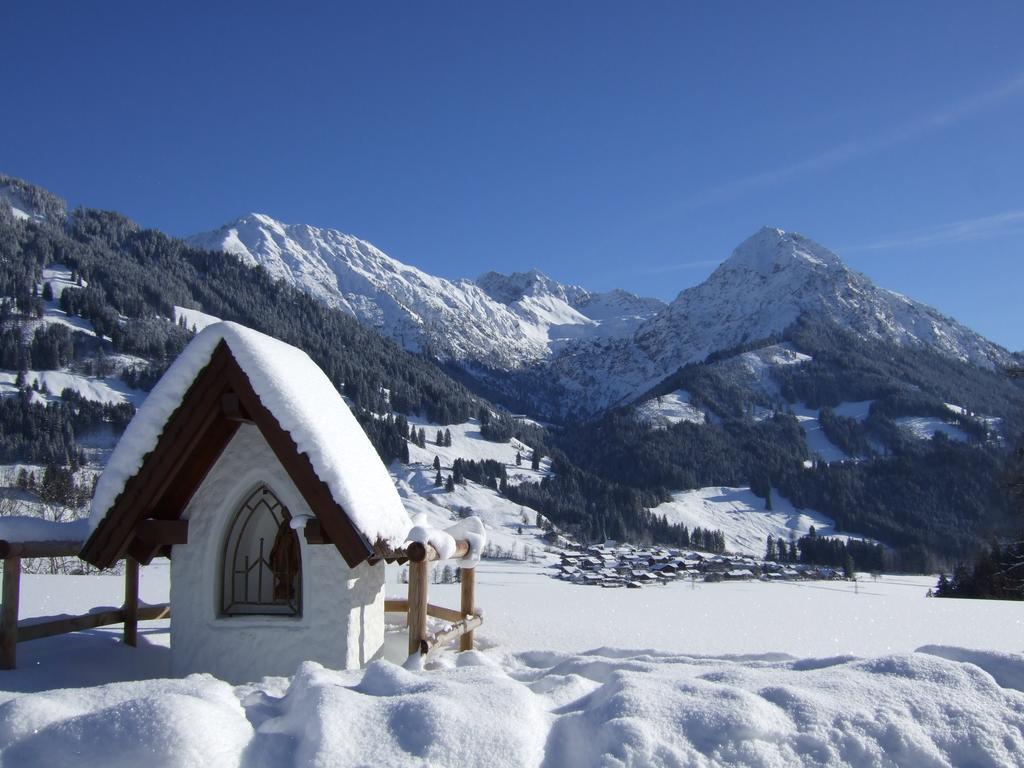 Hornblick Fewo- Ab Mai Freie Fahrt Mit Bergbahnen オーベルストドルフ エクステリア 写真