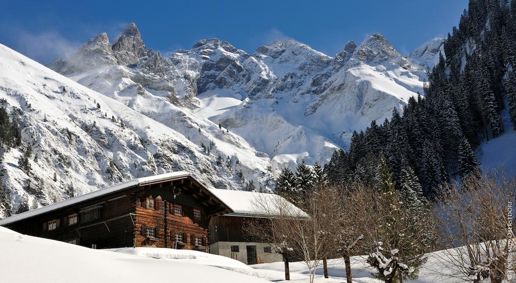 Hornblick Fewo- Ab Mai Freie Fahrt Mit Bergbahnen オーベルストドルフ エクステリア 写真