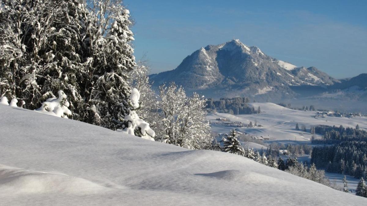 Hornblick Fewo- Ab Mai Freie Fahrt Mit Bergbahnen オーベルストドルフ エクステリア 写真